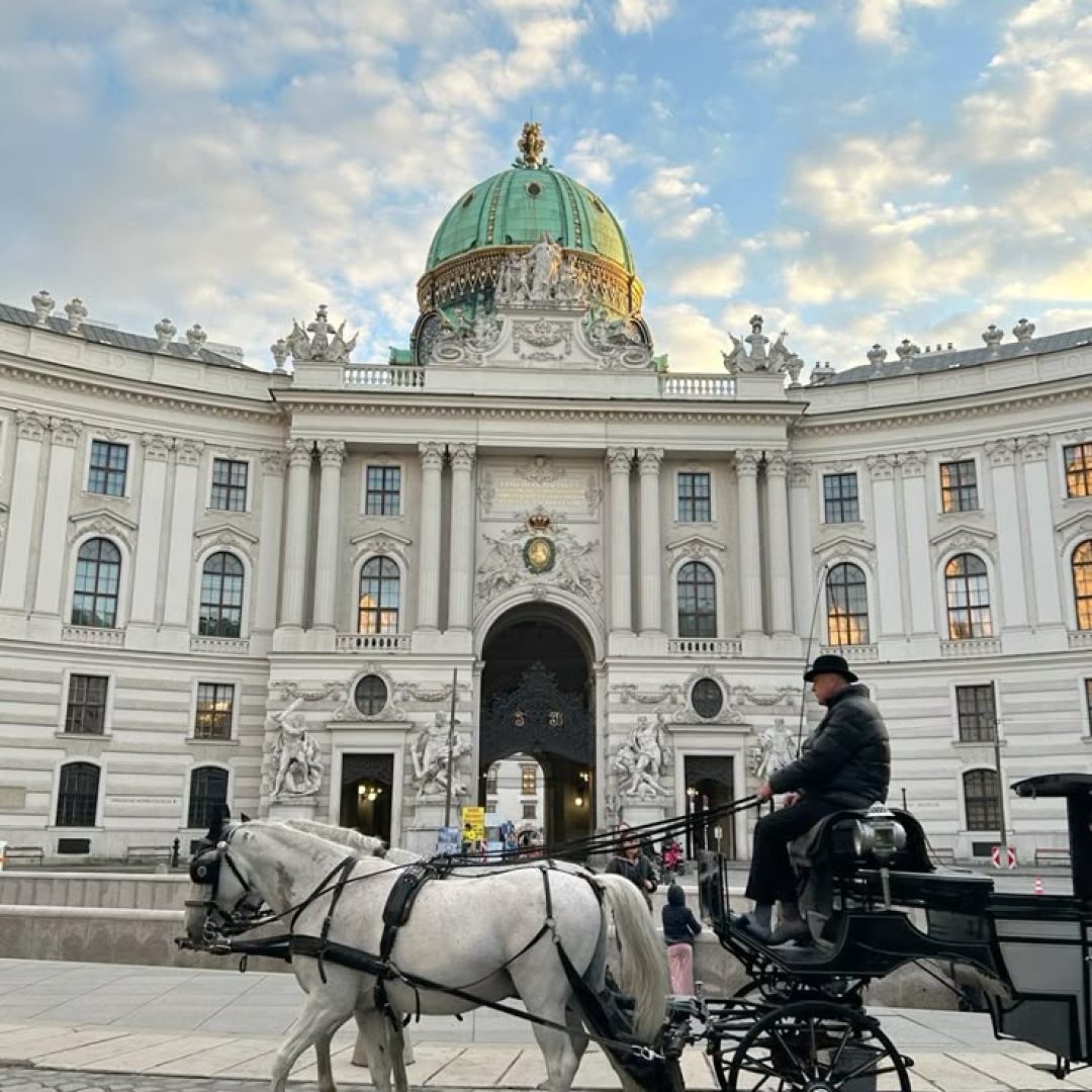 Vienna 🤍